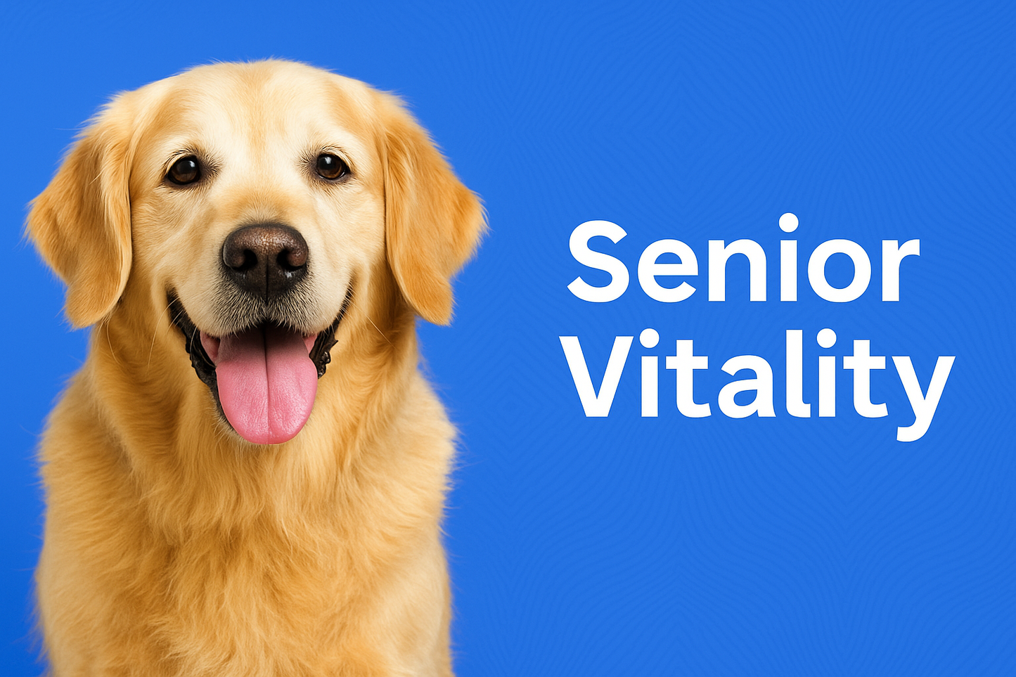 Senior Vitality Blend